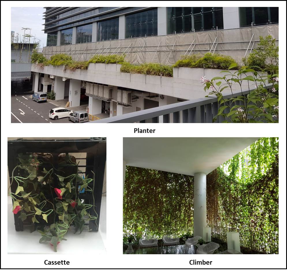 Figure 1 Types of Green Walls