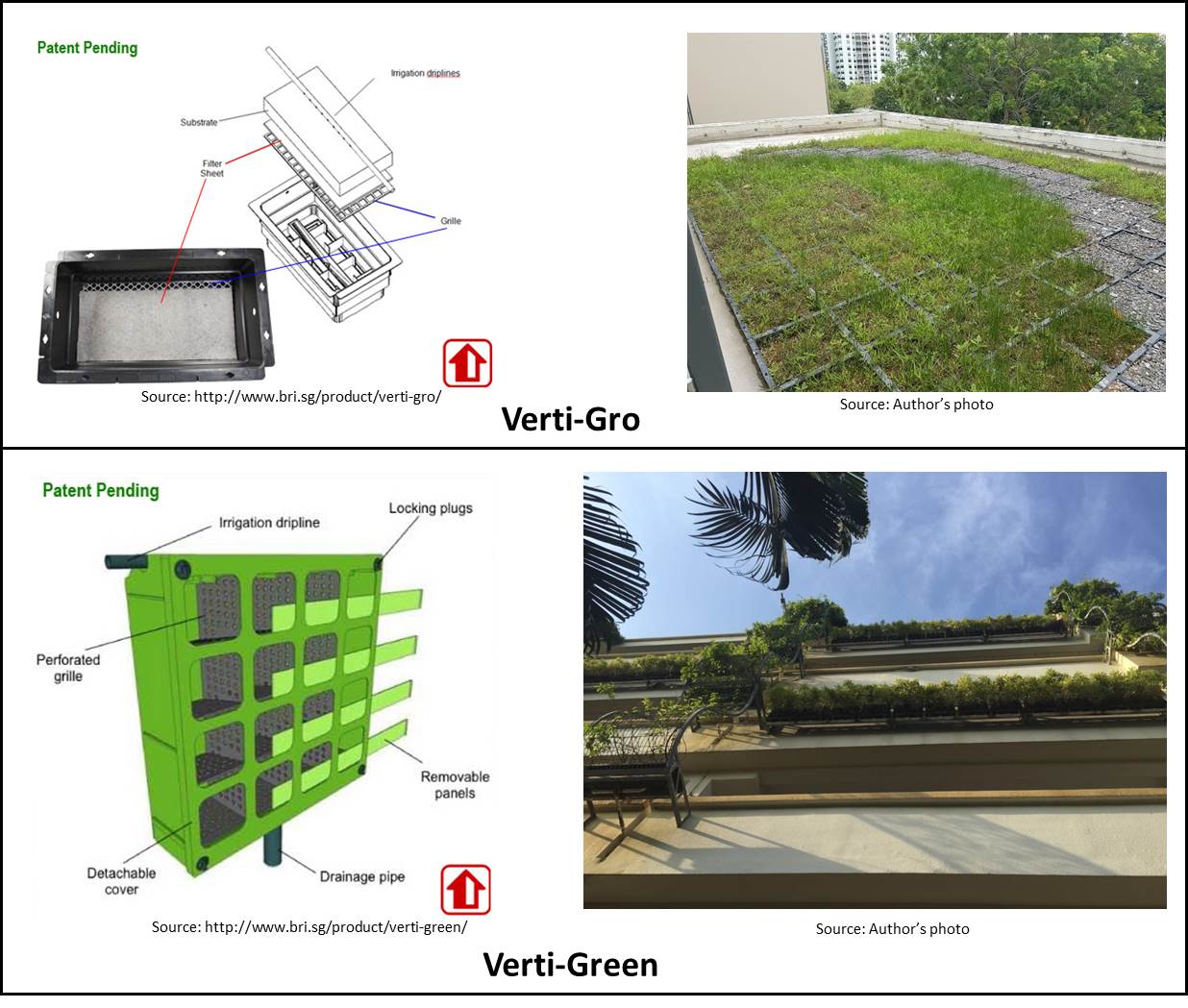 Figure 4. Vertical Greenery Systems in Singapore (Photo source: Chew and Conejos, 2016)