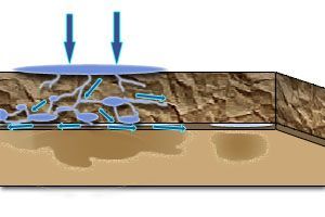 fig-porous