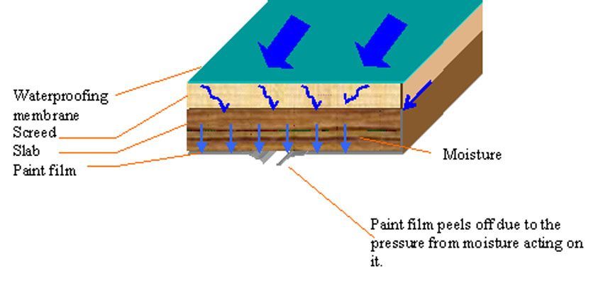 fig_paintdefect1