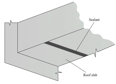 rooftop_structural_biological-growth-on-sealant_case-1